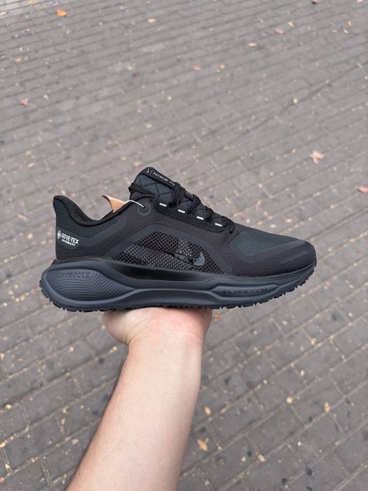 Nike pegasus 41 gore-tex