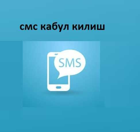 Временные номера, Вактинчалик номерлар