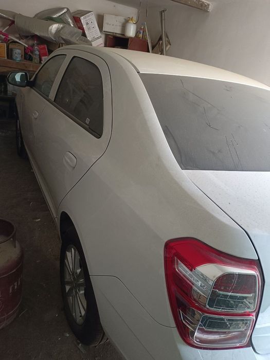 Yang 2025 Cobalt yurmagan