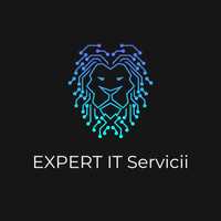 Servicii IT Profesionale: Mentenanta, reparatii si consultanta