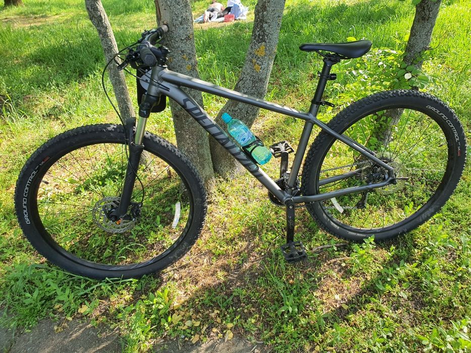 Bicicleta SPECIALIZED Rockhopper Comp 29 - Satin Metallic Oak GreenSmk