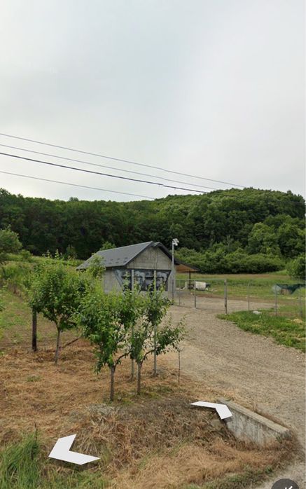 Teren 7200 mp2, sat Poiana, comuna Schitu Duca, Iasi