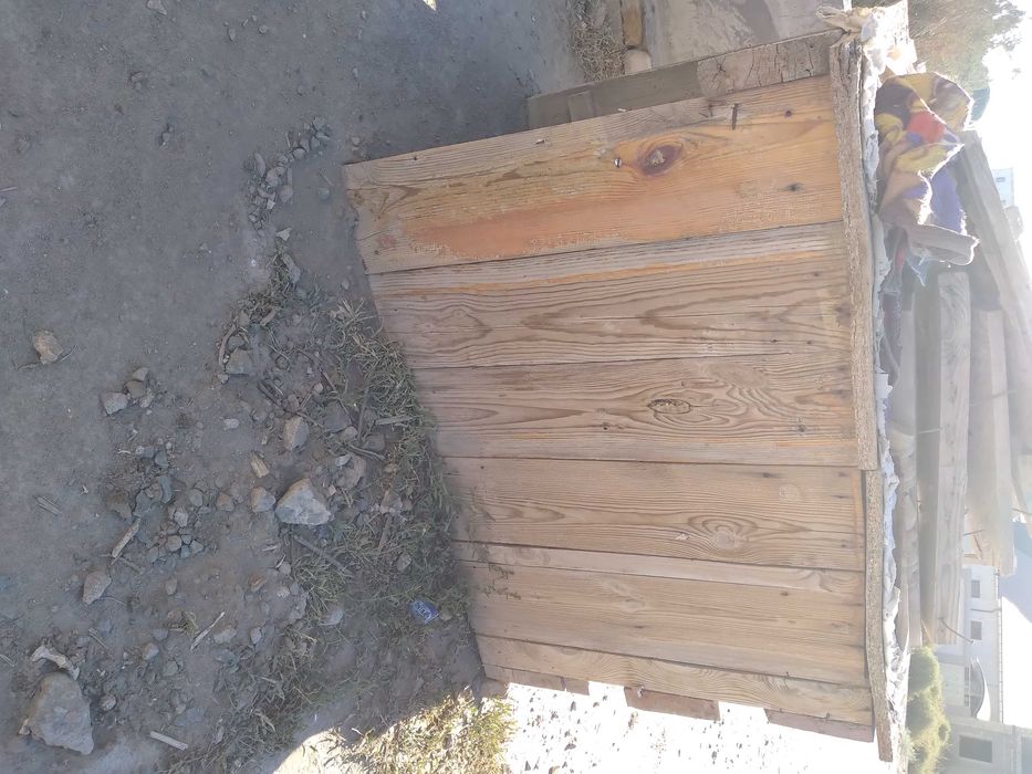 Ит учун уя сотилади.