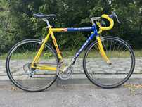 Cursiera Basso campagnolo shimano