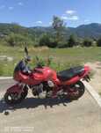 Vand suzuki gsf 600