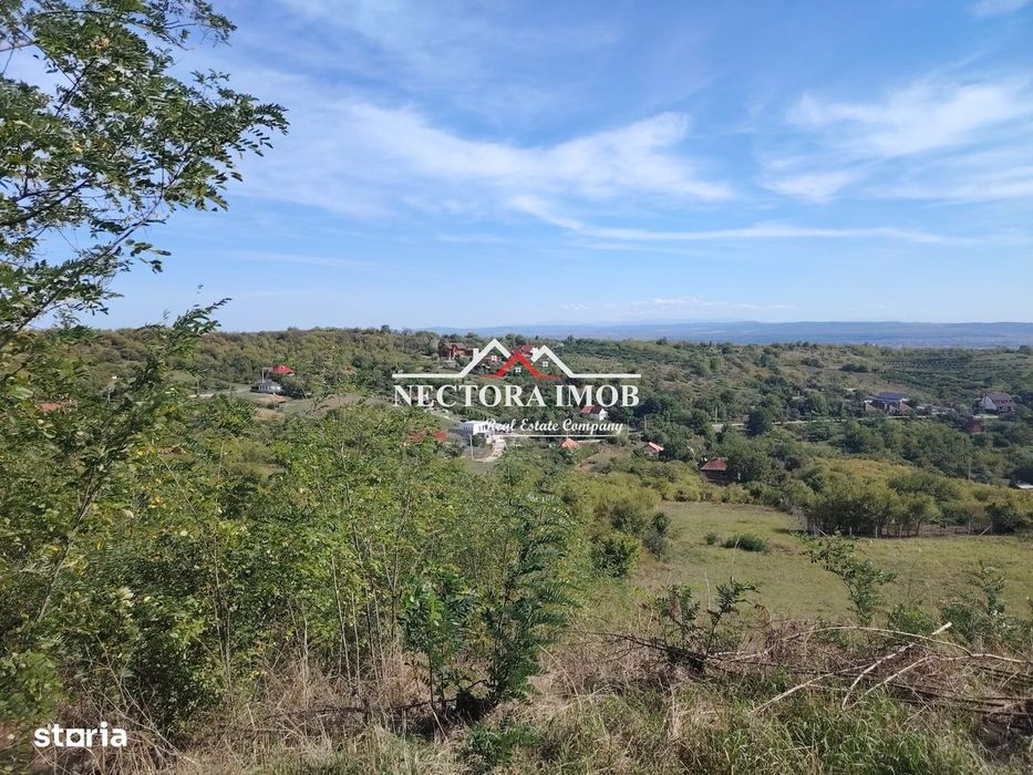 NECTORA IMOB-Teren Saldabagiu de Munte, 2350 mp, 21 ml front stradal