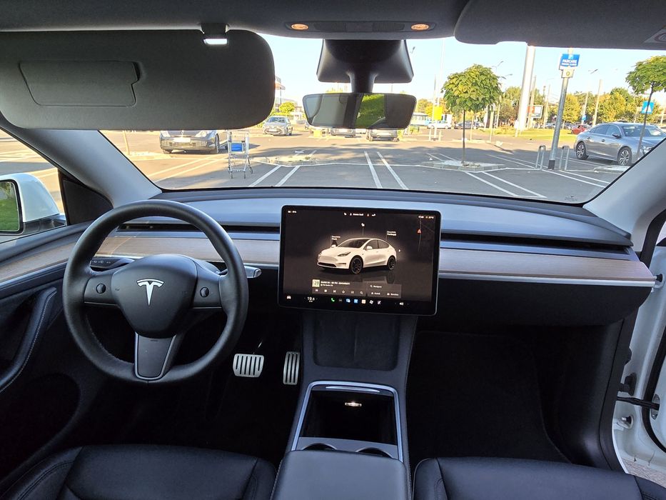 Tesla Y performers