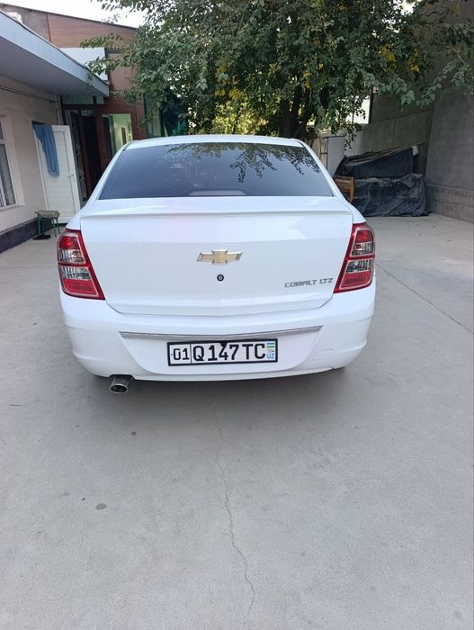 Ozimni moshinam kobalt 2 pozisiya