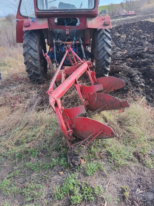 Vand sau schimb  cu animale