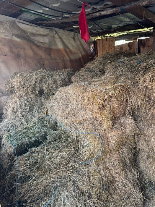 Baloti fan amestecat cu lucernă