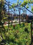 Casa + teren 871 mp - Valu lui Traian - Constanta
