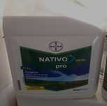 NATIVO PRO 325 SC 5 Litri Bayer Grau