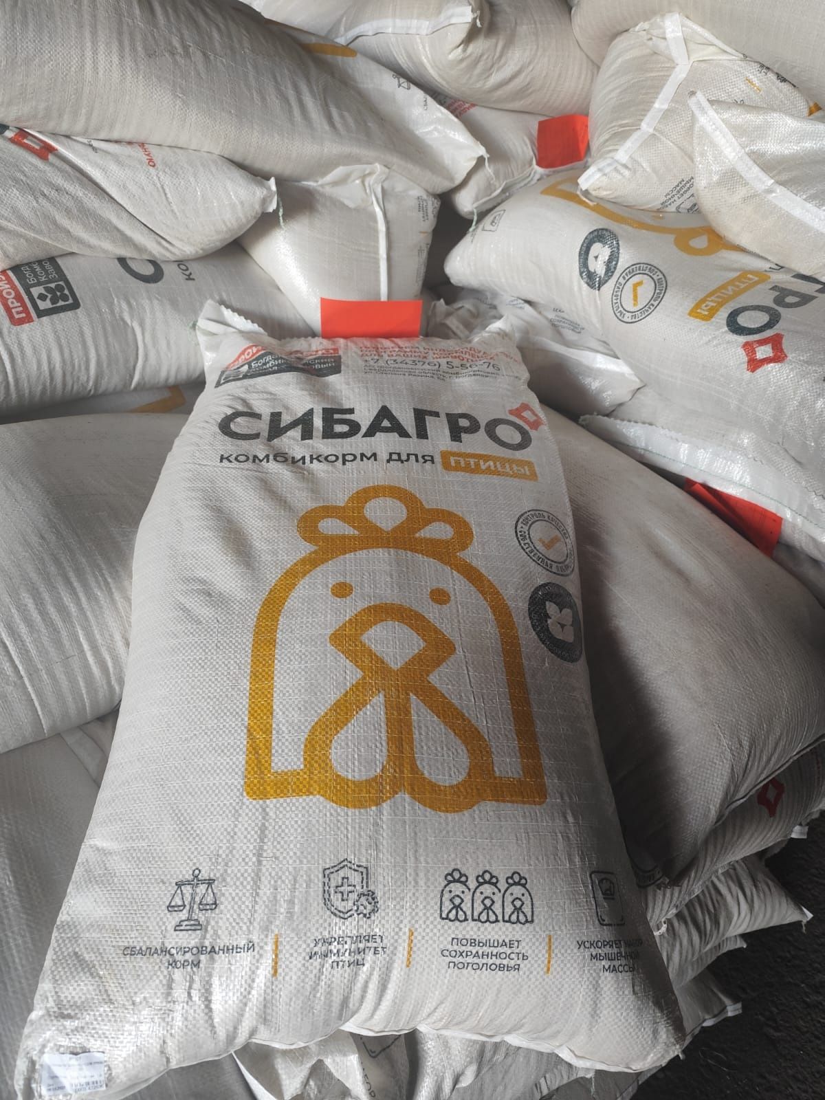 Продам комбикорм Богданович