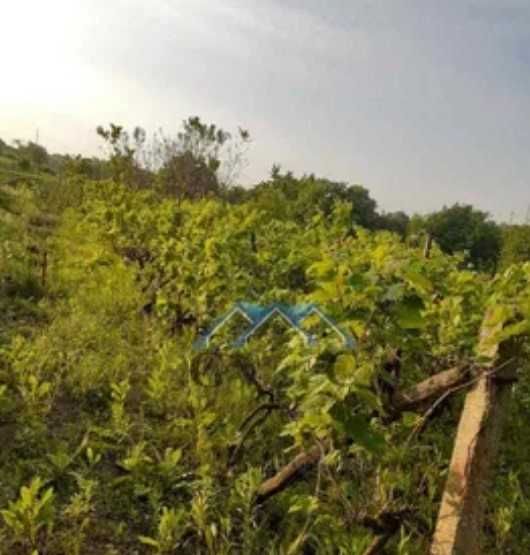 Продава се Къща в с. Страшимирово, Област Варна - 50 кв.м за 1160 €/кв.м - Снимка #9