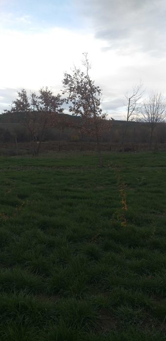 Продава се Парцел в Елин Пелин - 1200 кв.м за 32 €/кв.м - Снимка #1