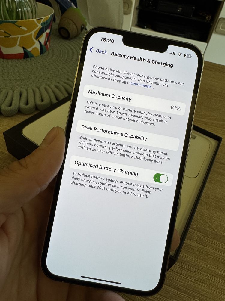 Iphone 13 pro silver/white