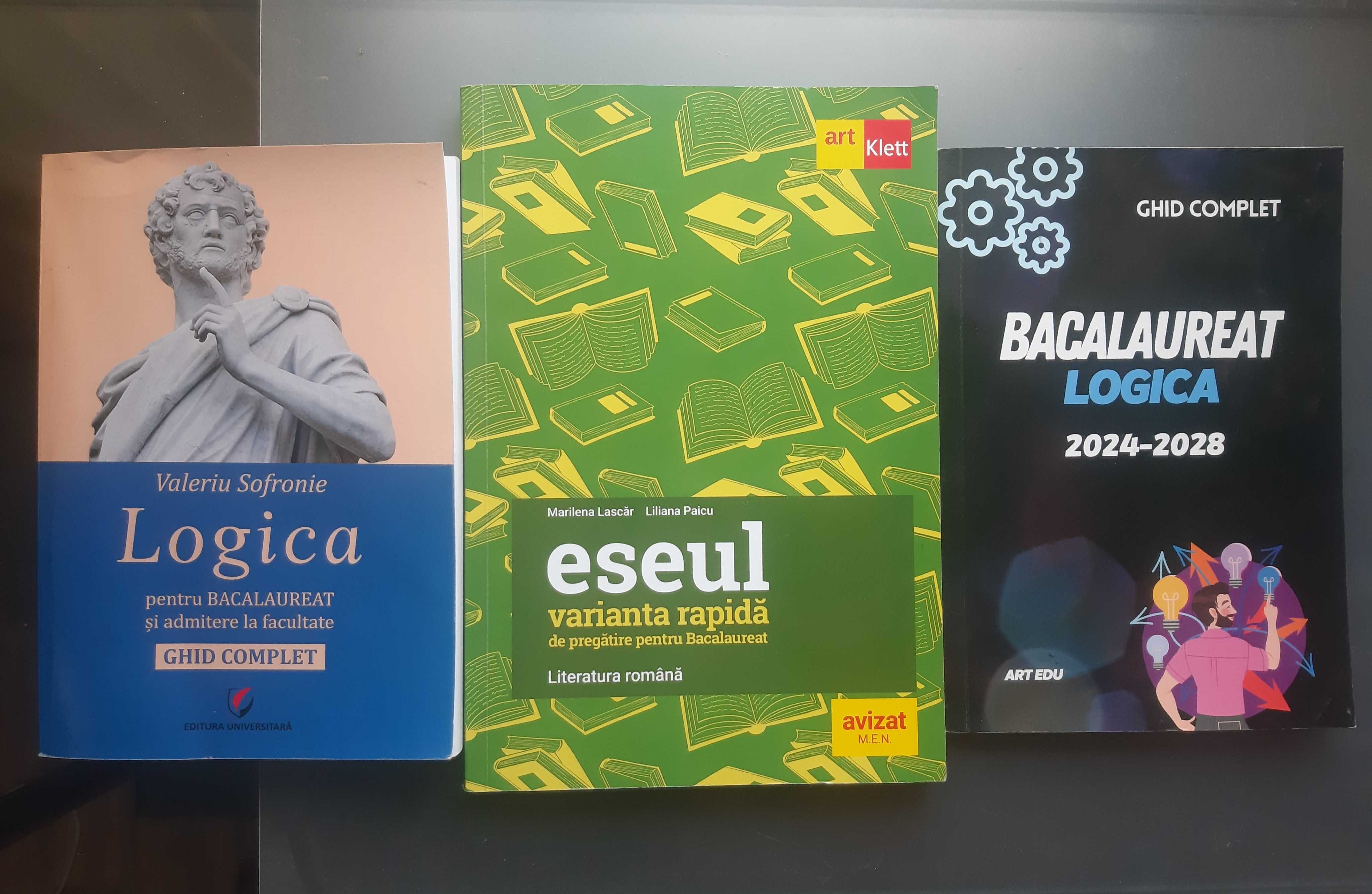 Bacalaureat 2025, de 10!  Limba si literatura romana si Logica