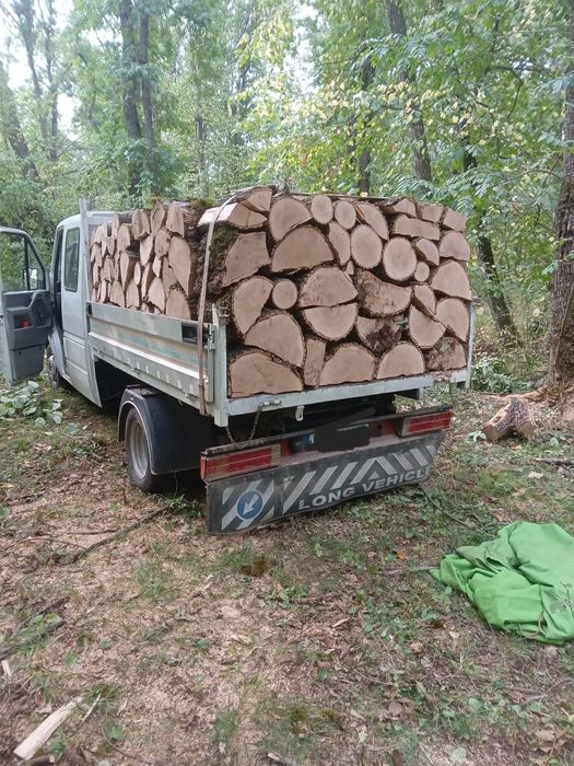 Lemne de foc verzi sau uscate