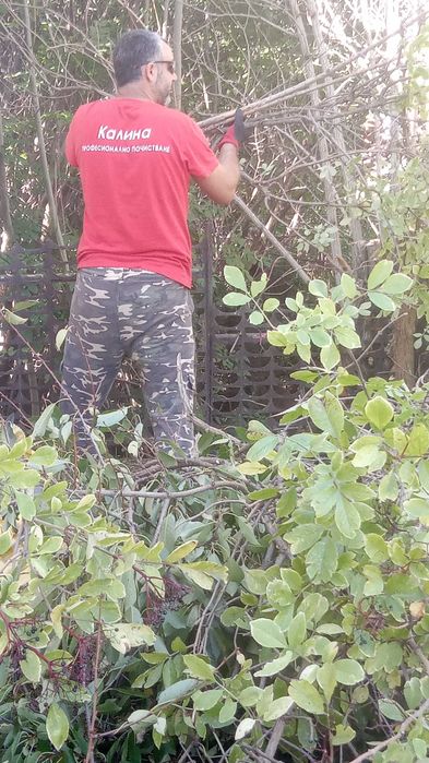 Косене на трева, рязане на дървета и храсти, почистване на дворове.