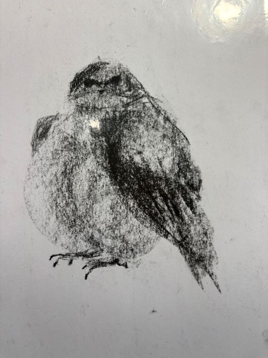 Скици с въглен 106 броя