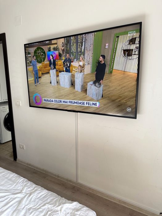 HandyMan–Timișoara