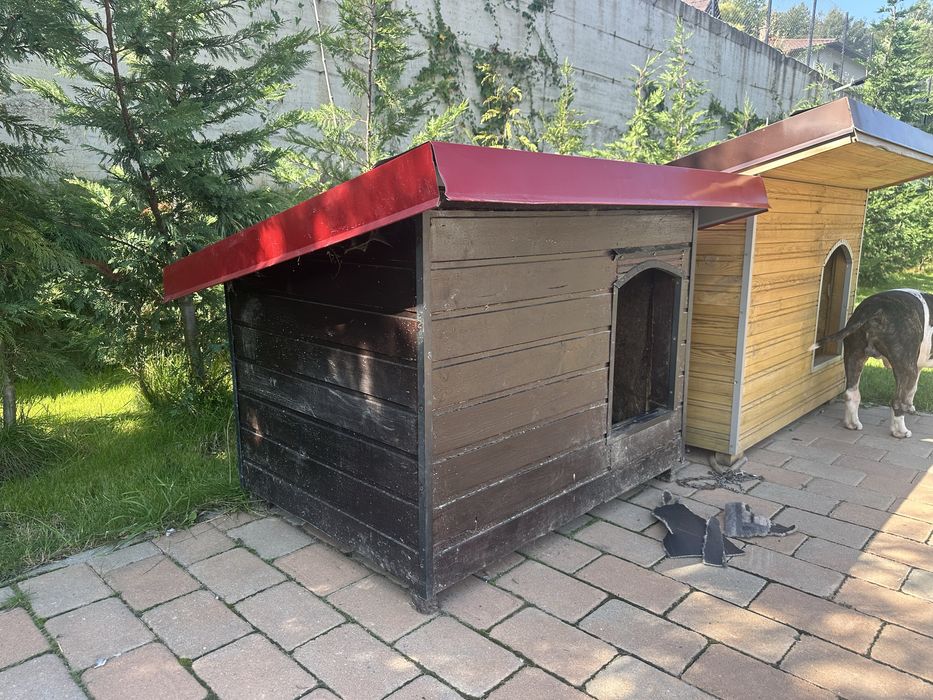 Cusca de caine izolata cu poliestelen. Talie medie.