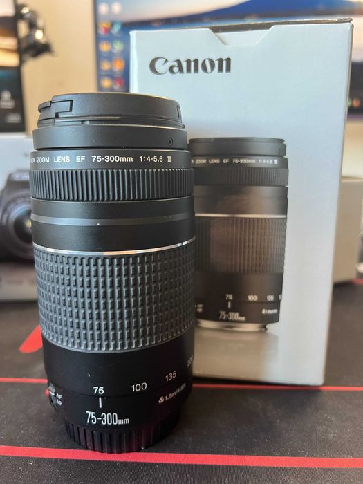 Canon EF 75-300mm f/4-5.6 III USM