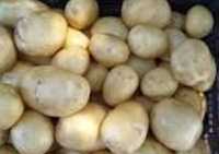 Продаётся домашняя картошка,кг по 200 тг
