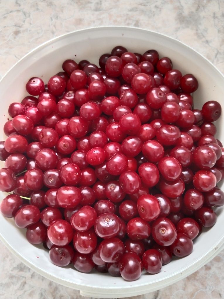 Продам свежие собраную вишню