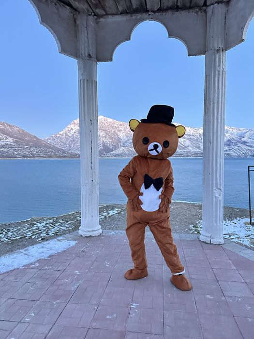 Аниматоры для ярких праздников