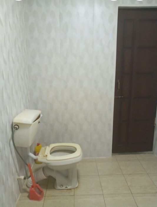 Йигитлар учун ижарага уй