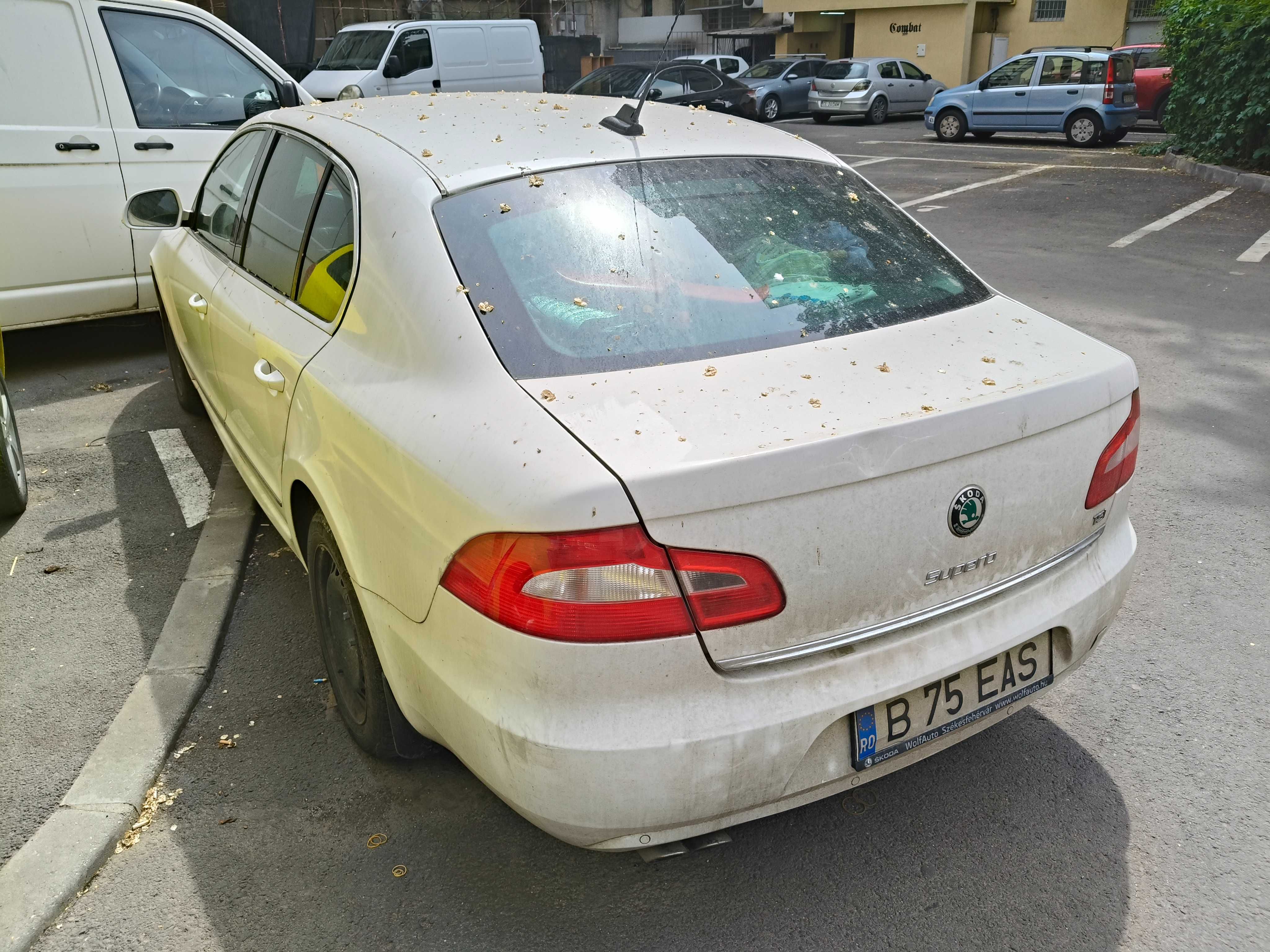 Skoda Suprb 2 an 2009