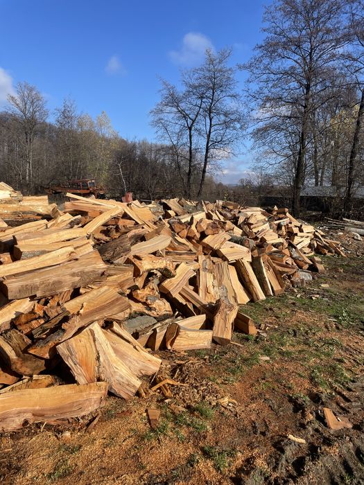 Lemn foc fag, cherestea rasinoase