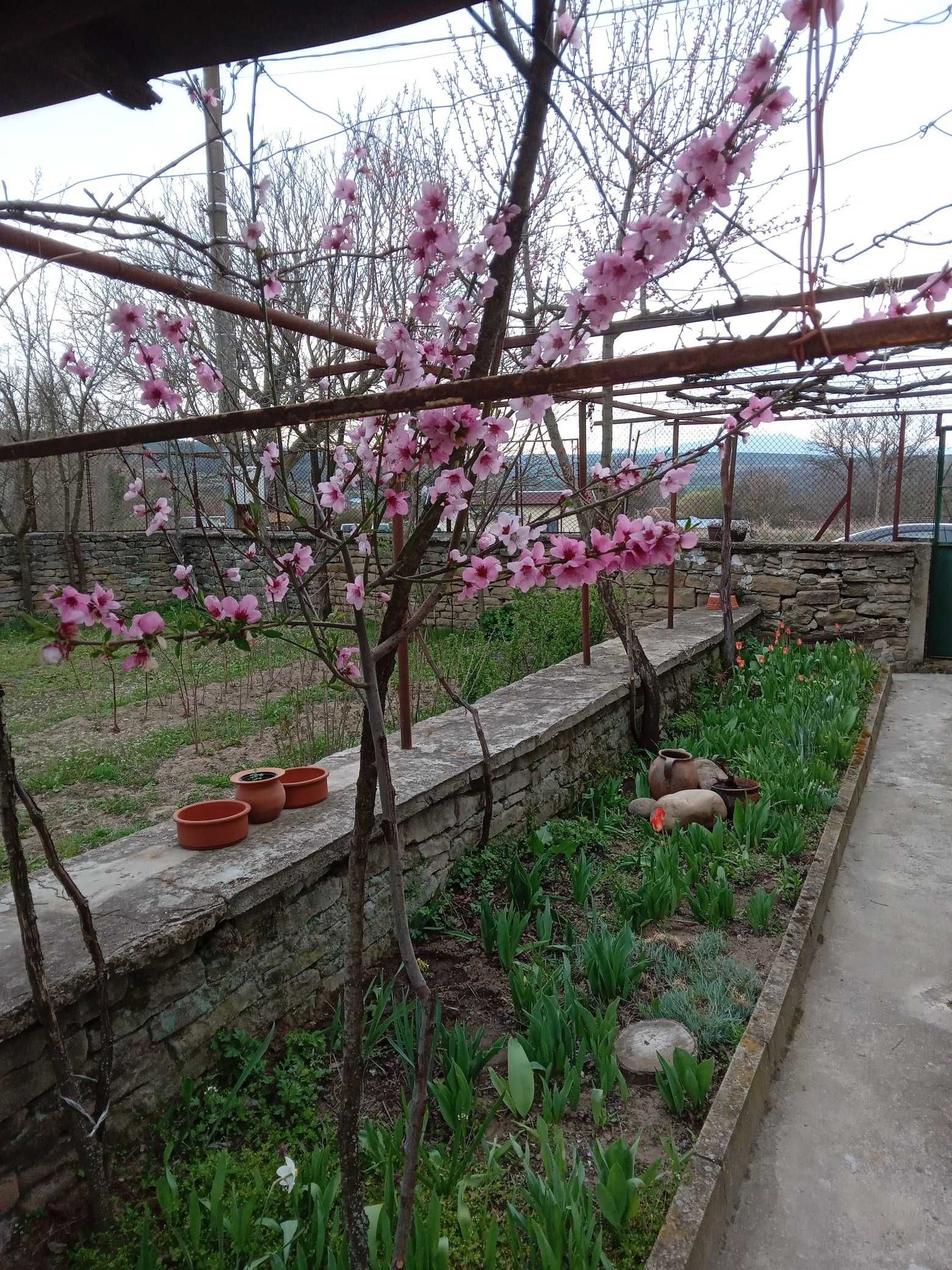 Къща в село Бероново
