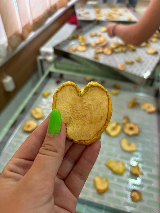 Linie deshidratare mere ,alte fructe si legume-Productie chips cartofi