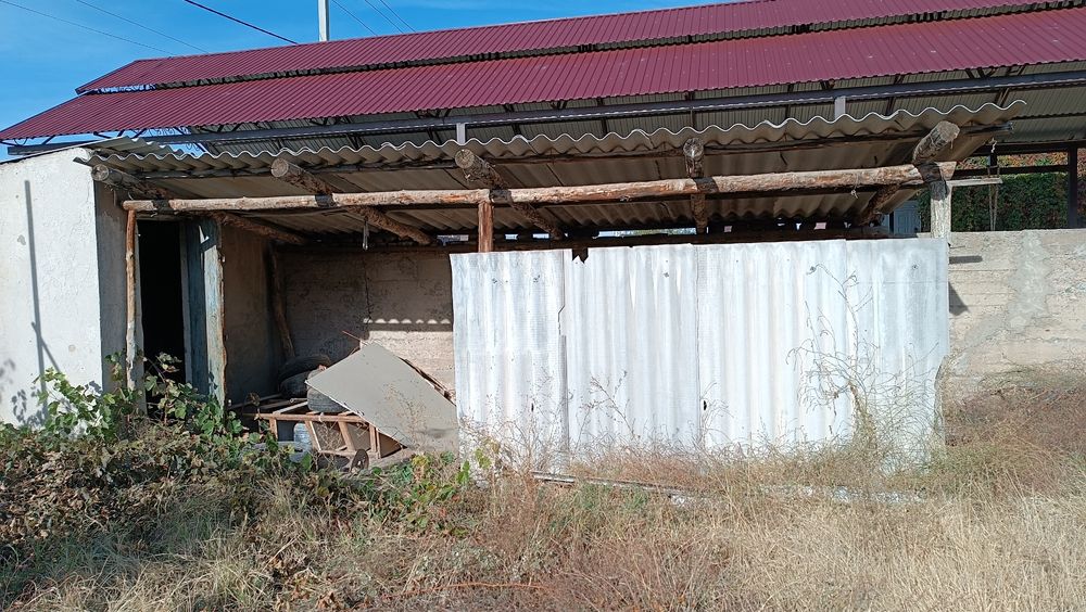 Балкалар суреттегі