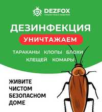 Дезинфекция Обработка Уничтожение Постельные Клопы Блохи Безопасно