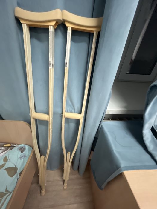 Балдақ ағаш түрі