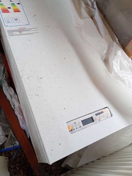 Centrala motan pe horn