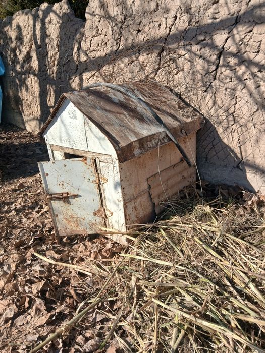 Itlar uchun uy,  holati yaxshi