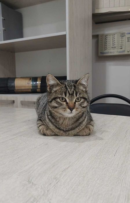 Малыш ищет дом и семью