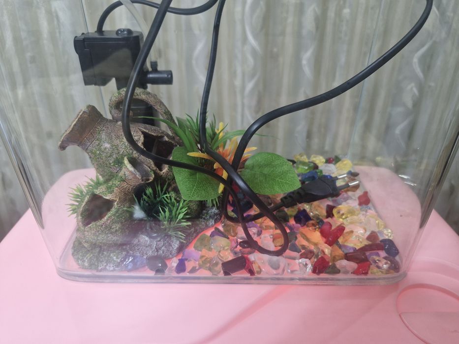 Akvarium+dekoratsiya+filtr