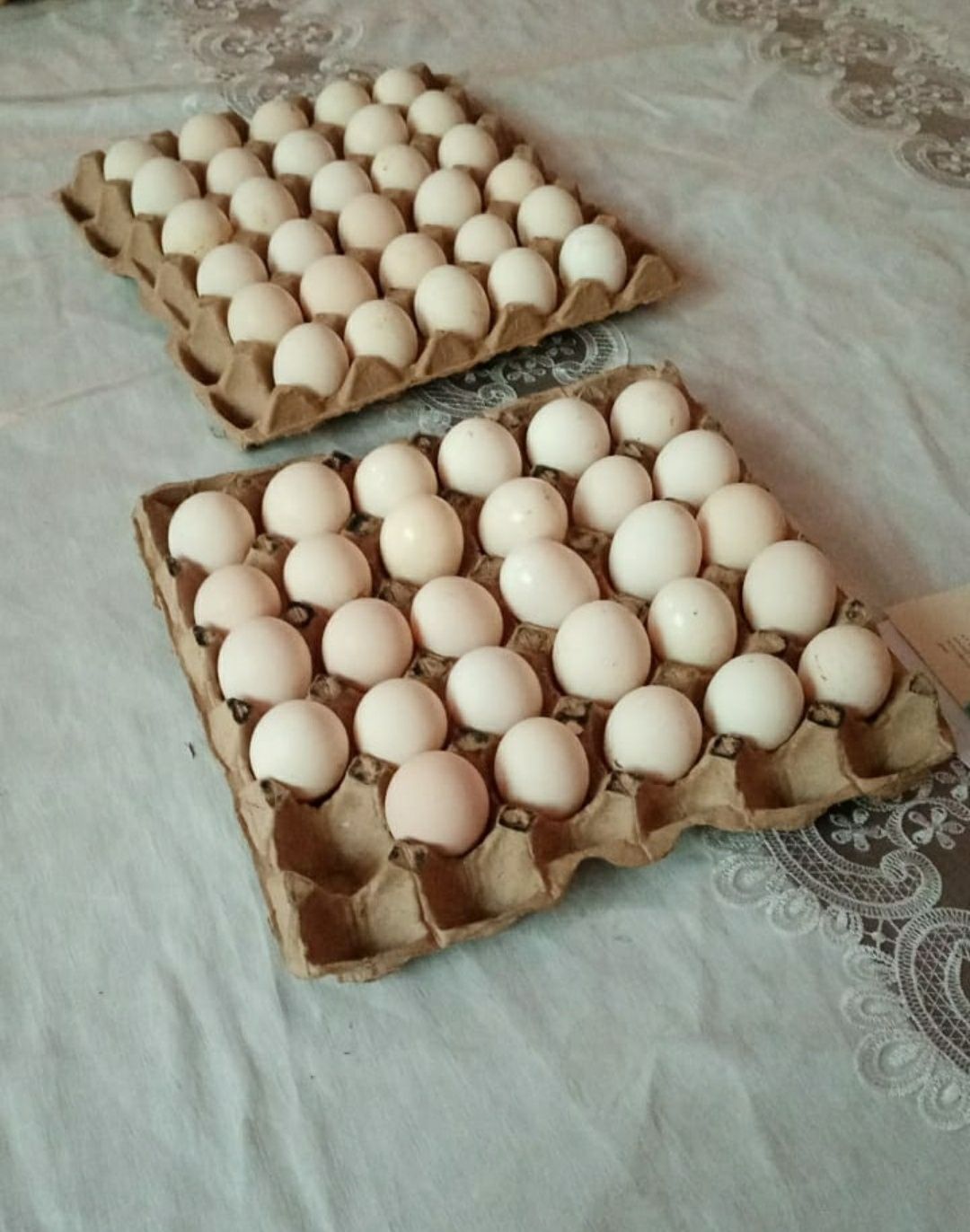 120тг.Яйца инкубацияга домашние