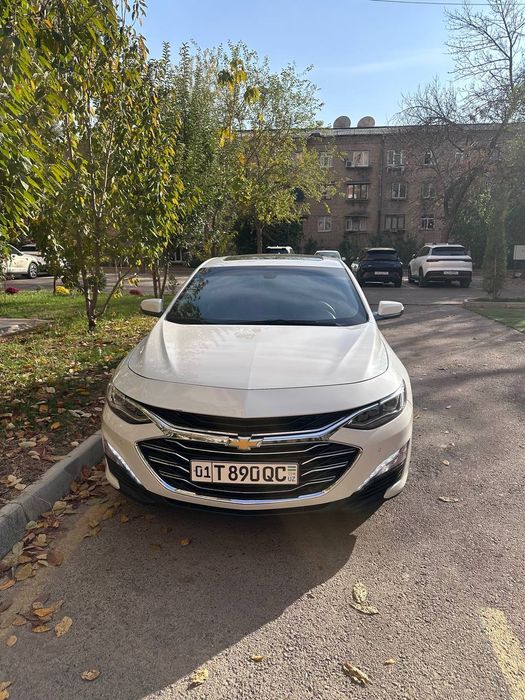 Malibu 2 primer 2020 jemchuk