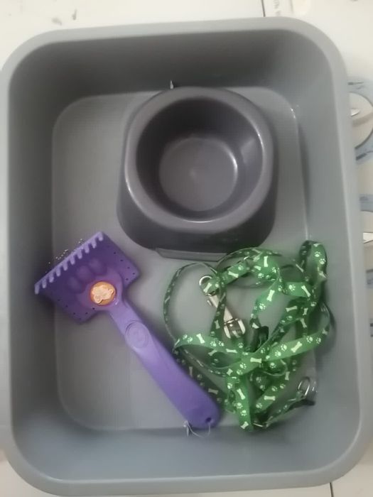 Набор для вашего питомца!