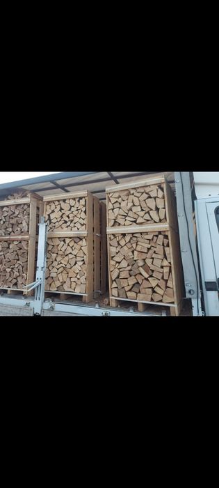 Lemne de foc paleti fag