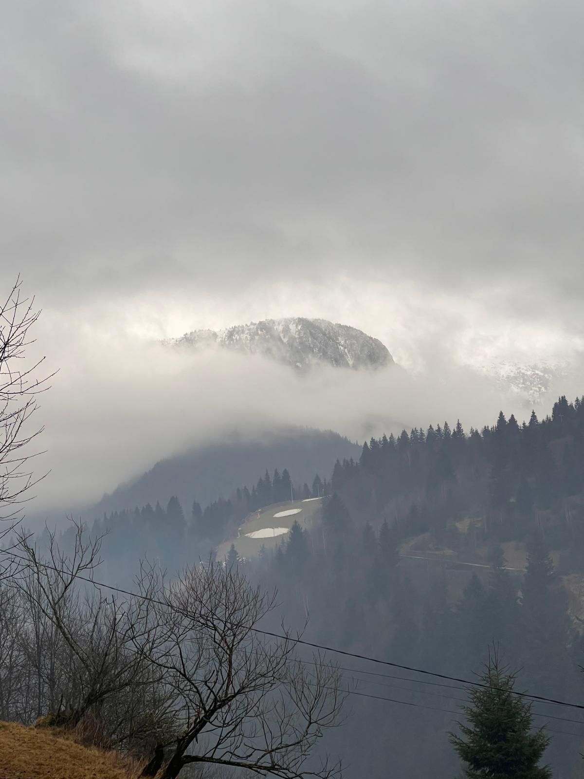 Teren de vânzare pentru cabana