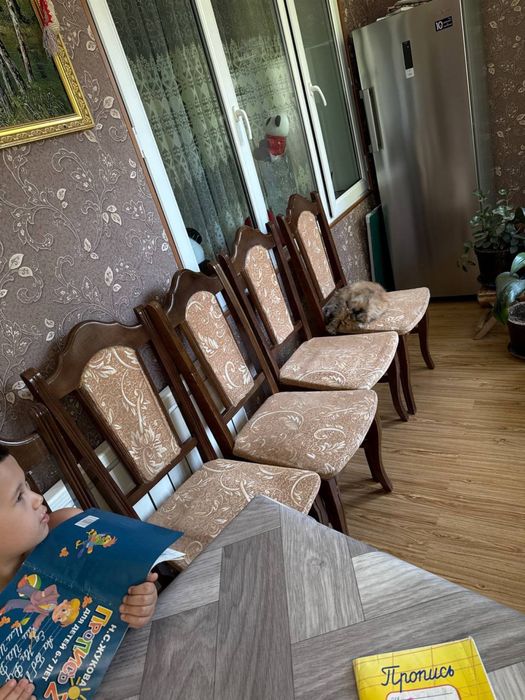 Продаются стулья Б/У