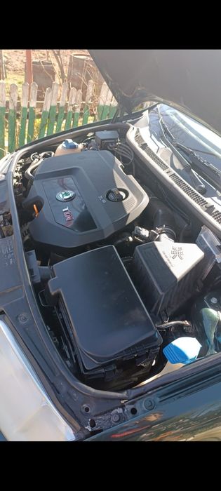 Vand skoda fabia
