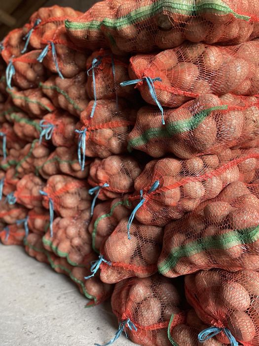 Vând cartofi de cosum și de dat la animale